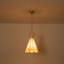 - Light Pendant