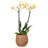 Everard Handmade Cachepot-1090425748