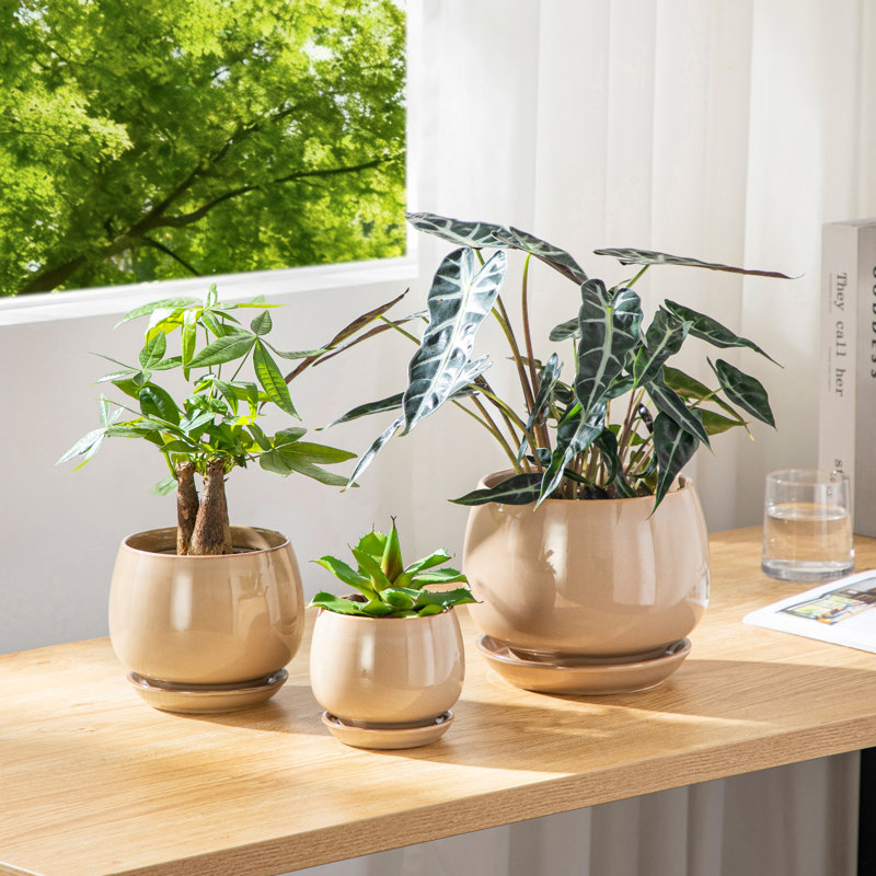 Ceramic Pot Planter, 14.7cm H x 12cm W x 5cm D, Brown