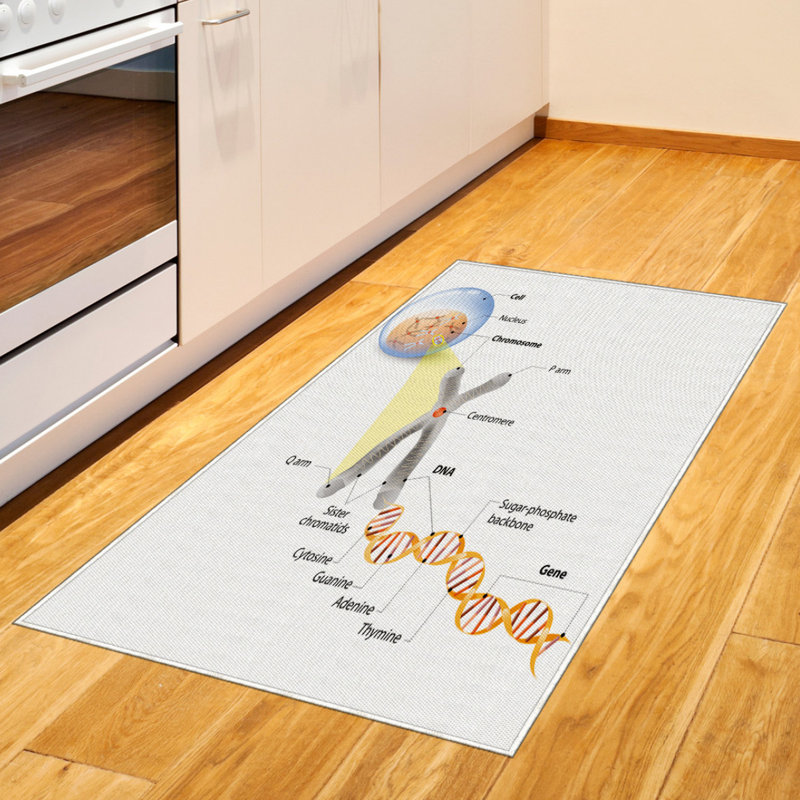 Tapis décoratif à longues fibres en fibres à haute densité Science, Rectangle 2 pi 7 po x 5 pi