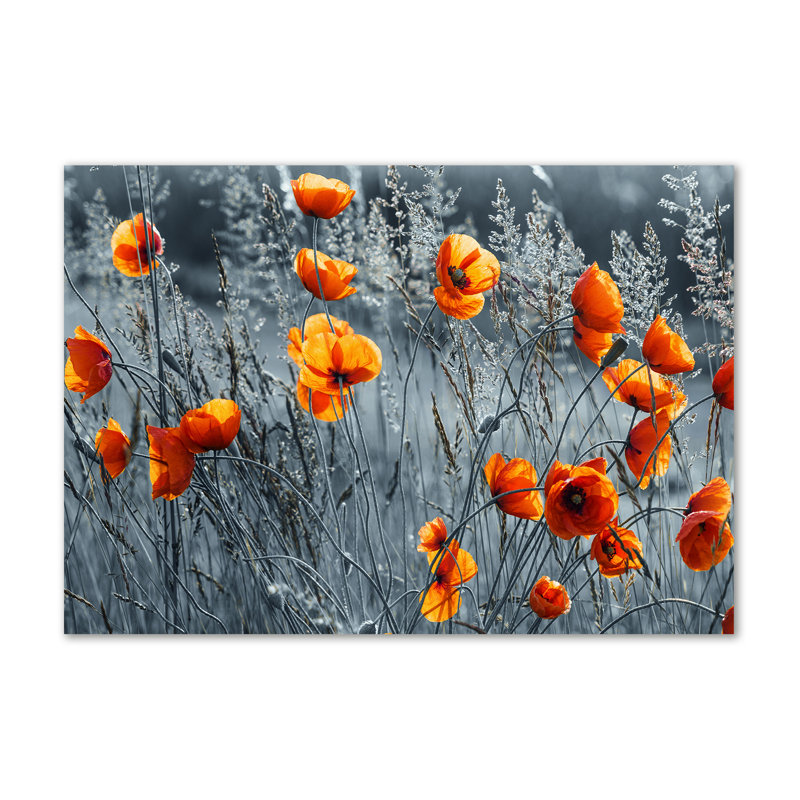 Field Poppy - No Frame Print on Canvas