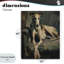 Toile Regal Comfort Whippet Dog, conception de Svetlana Aleynikova-594533463