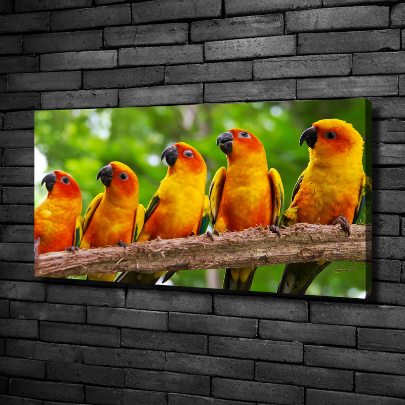 Parrots On The Branch - No Frame Print on Canvas