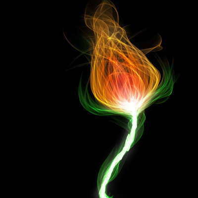 " Multicolored Flaming Flower " by Csuzda
