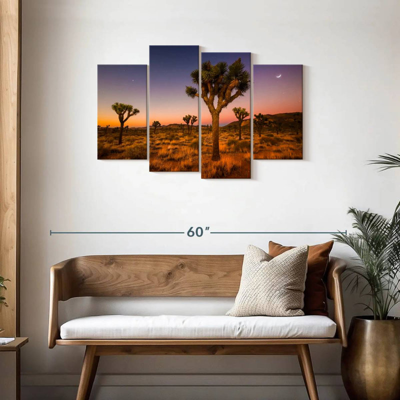 Nicci Joshua Tree Valley At Sundown