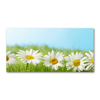Daisies - Wrapped Canvas Print