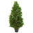 Bay Leaf Artificial Topiary Tree UV
