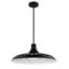 Luminaire suspendu en dome à 1 lumière-480590188