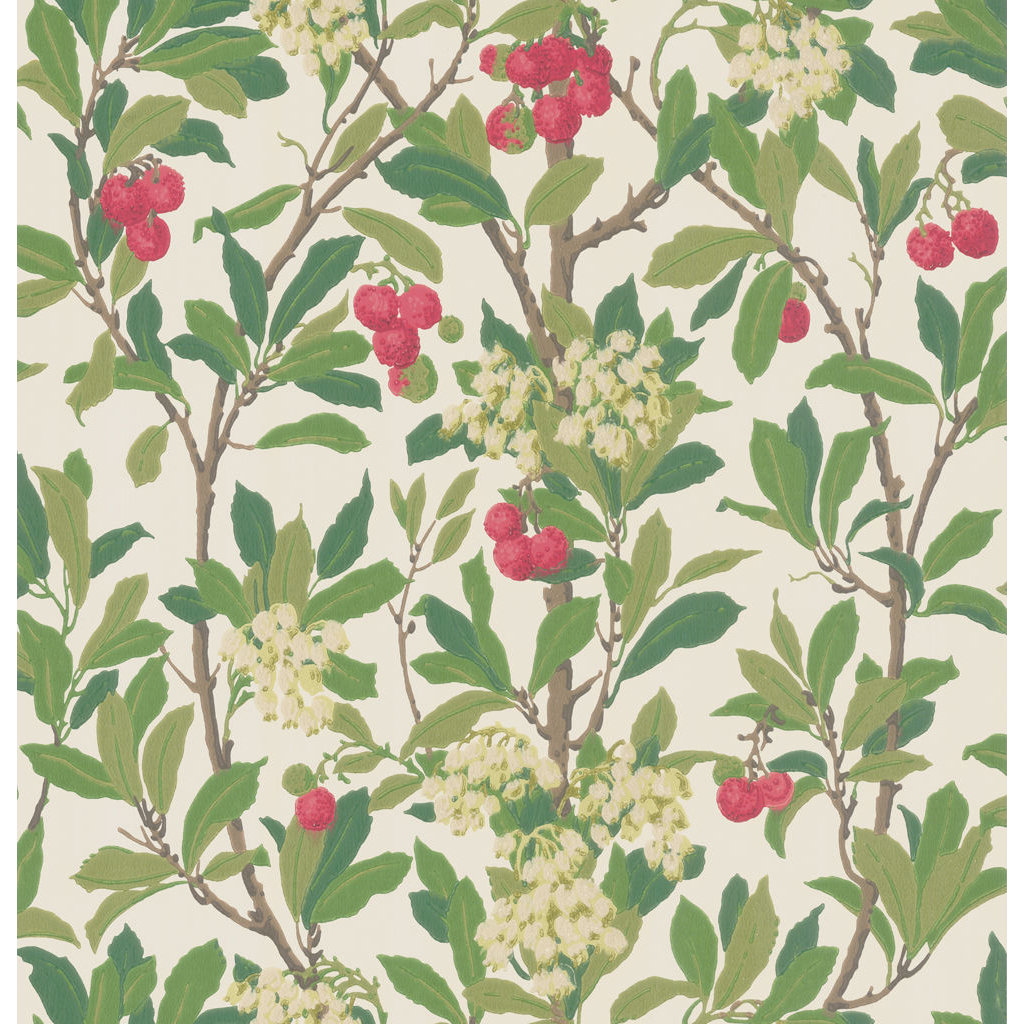 Anthology Strawberry Tree Floral Wallpaper, Scarlet/Ivory