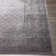 Dicken Oriental Indoor Rug
