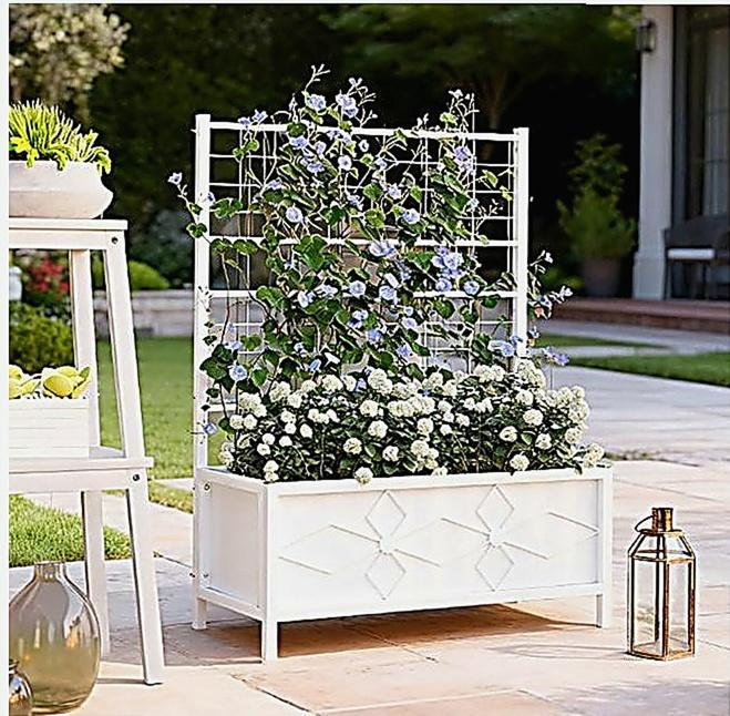 Garden Bed with Trellis,Outdoor Planter Box Galvanized Raised Garden Bed,for Climbing Vines, White