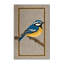  Tapis lavable mésange bleue-2038498032