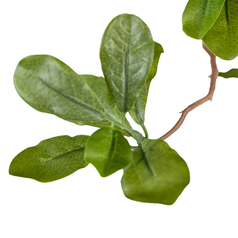 Faux Aralia Tree-Faux Aralia Tree-8'