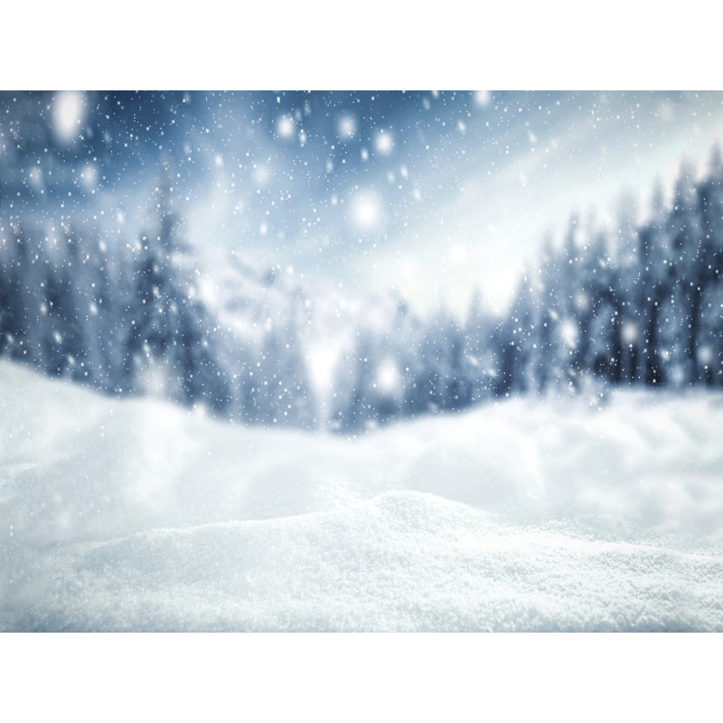 Toile des Fêtes, jour de neige, H 16 po x l 20 po x P 1 po