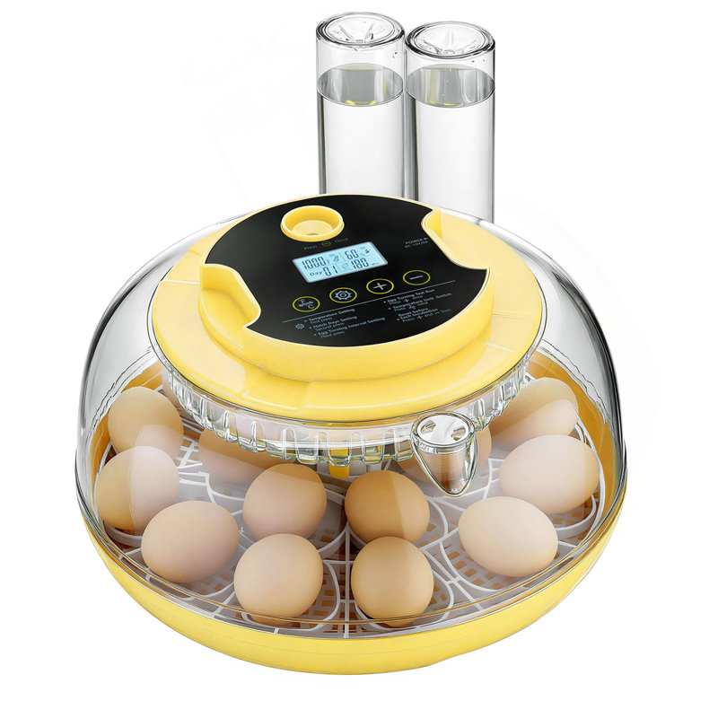 Incubateur à 18 œufs, retourneur d'œufs automatique avec candélabre à DEL, contrôle de la température et de l'humidité, fenêtre transparente à 360 °, remplissage automatique de l'eau, incubateurs d'œufs de volaille pour couver les poussins
