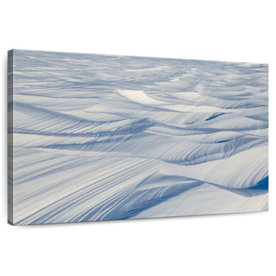 Alvord Arctic Tundra