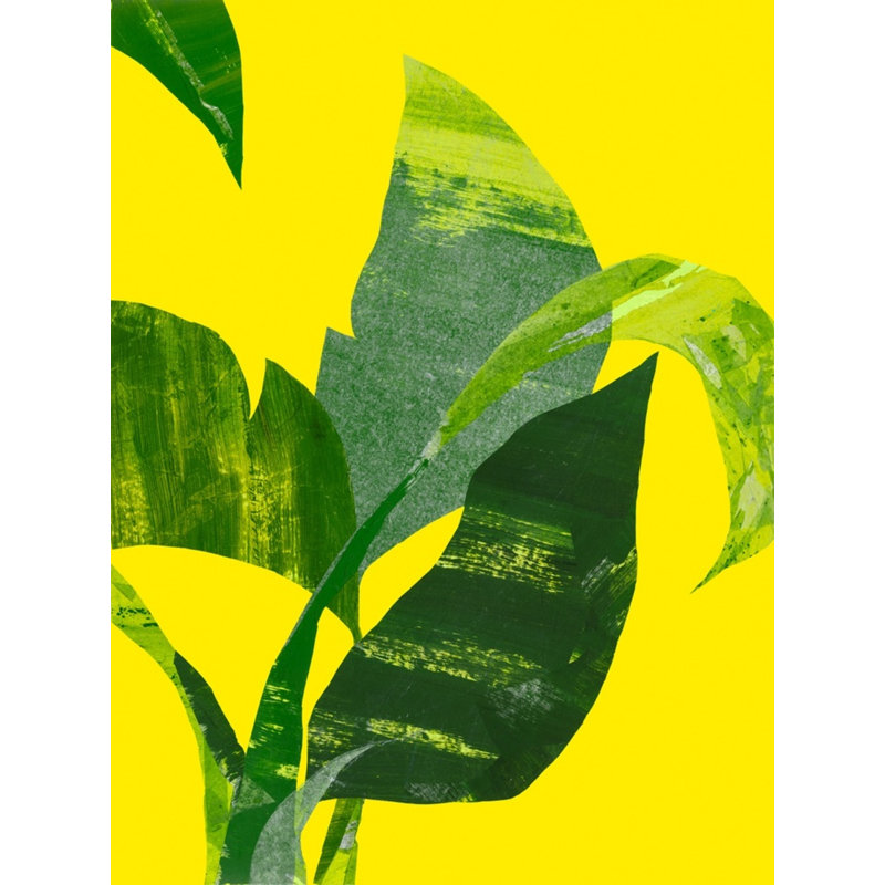 Untitled Print by Jones, Emma, Maple Single Picture Framed, 40'' H x 30'' W