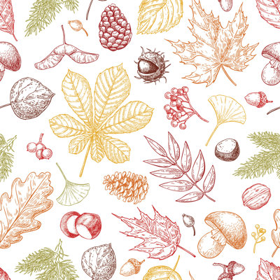 "Autumn Autumn" par Epine, impression sur toile tendue