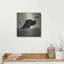 «Black Dog Swim» par Ryan Fowler-840397112
