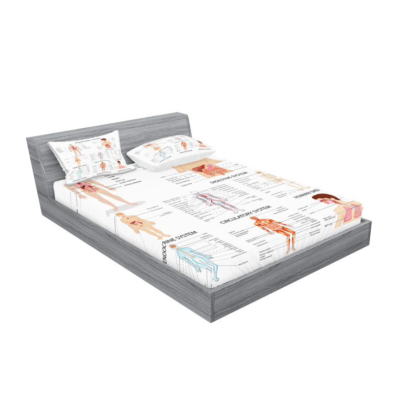 Drap-housse et coussin décoratif Ambesonne, Ensemble de draps pour très grand lit californien