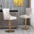 Baldock 2PC Swivel Adjustable Height Barstools,Modern Upholstered Stools with Tufted Back-230419728