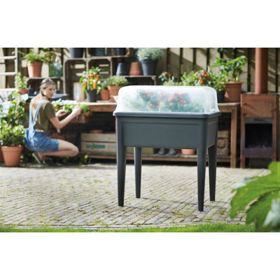 Elevated Planter