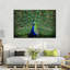 Plumes de paon sur toile-1430331167