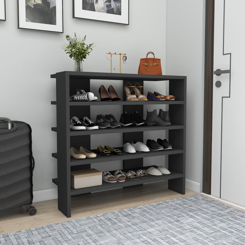 Baneen 8 Pair Shoe Storage Cabinet, Anthracite