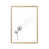 Brushed Copper Frame is unavailable