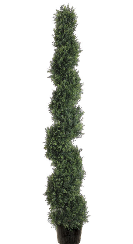 Topiaire en pot cèdre spirale, H 60 po
