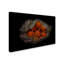« orange on black », reproduction de photo sur toile tendue-22373263