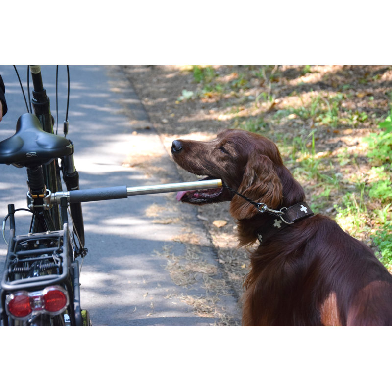 Cousins Dog Bicycle Leash