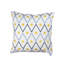 Umber Square Cushion Cover-770493336