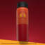 Bouteille d'eau en acier inoxydable Harry Potter Gryffindor - 22 oz