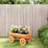 Seara Wood Pot Planter