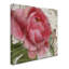 « abricot pivoines ii », impression sur toile tendue-31355366