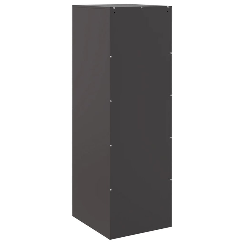 Alyda Steel Accent Cabinet, Black