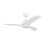 LED Downrod Ceiling Fan