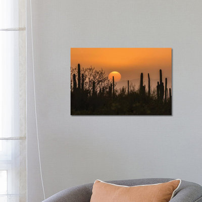 USA, Arizona, Saguaro National Park. Saguaro cactus at sunset. 1 Piece Wrapped Canvas Wall Art