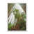 White sélectionné