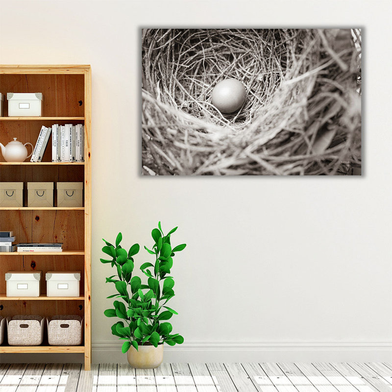 Nesting - Canvas Print Wall Art, 20" H x 30" W