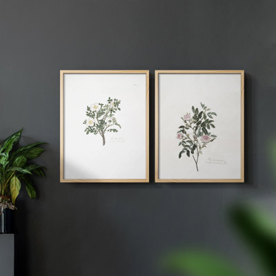 «Vintage Floral XXIII», 2 pièces sur papier