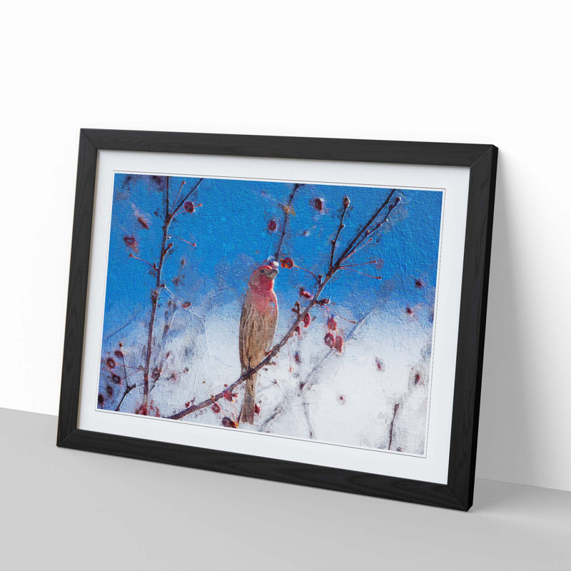 House Finch Bird - Framed Print, 27cm H x 36cm W x 2cm D, Black Framed