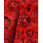 Dom One-of-a-Kind 4' 1" X 6' 4" Hand Knotted Area Rug