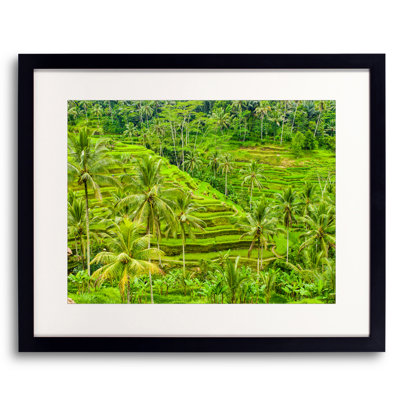 Landscape & Nature Print by Mark Paulda