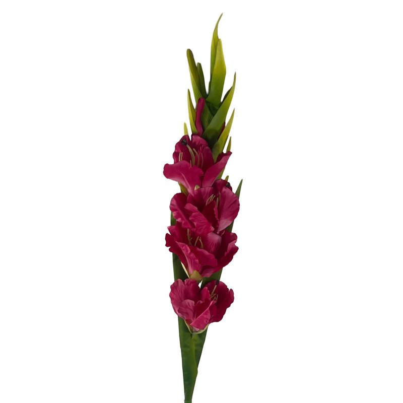 Aneris Arrangement
