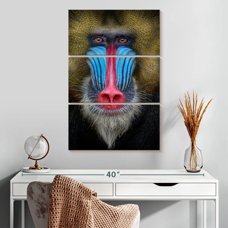 Singe Brampt, H 32 po x l 20 po