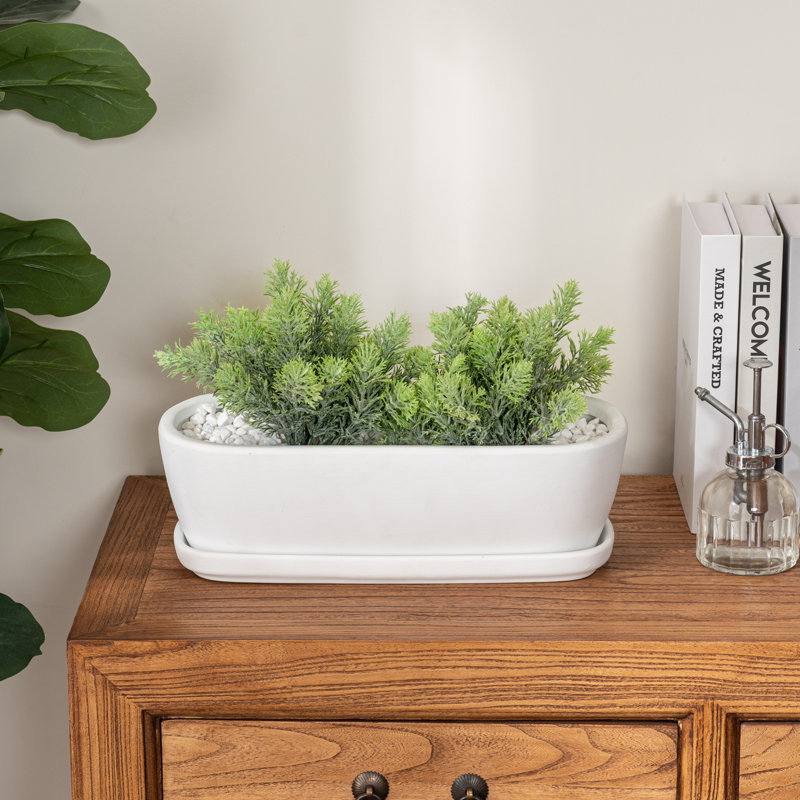 Indoor White Ceramic Succulent Pot Planter