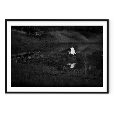 Aigrette enneigée