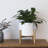 Elayna Ceramic Planter with Wood Stand-345133210-345935327